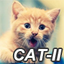 ＂CAT-II＂光纖傳感產品投入到工程試驗階段